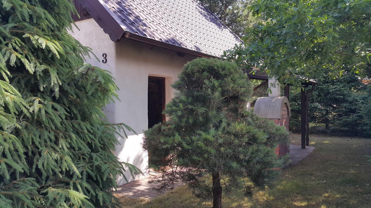 Osada Pod Czerwonym Debem - Czarny Mlyn Villa Jastrzębia Góra Exteriör bild